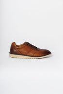 Sapato Don Uni Roma/Tan CBG003